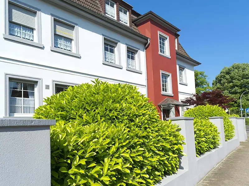 Renovierung einer Altbaufassade aus den 20er Jahren mit Einfriedung, Bild 3 von 6